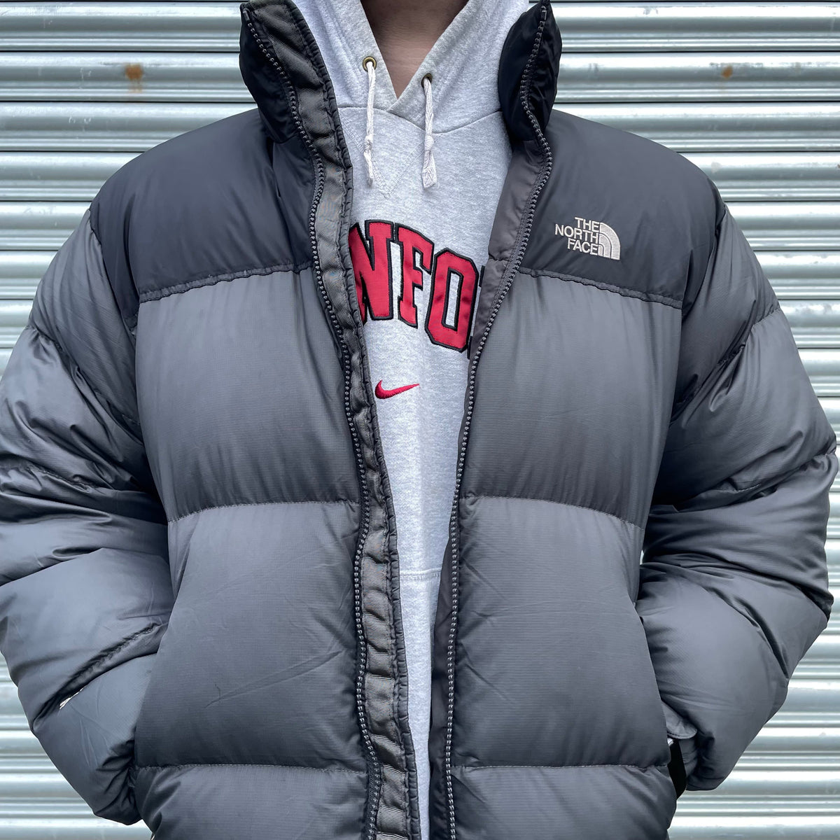 700 Puffer Grey North Face Puffer Coat The North Face Women's