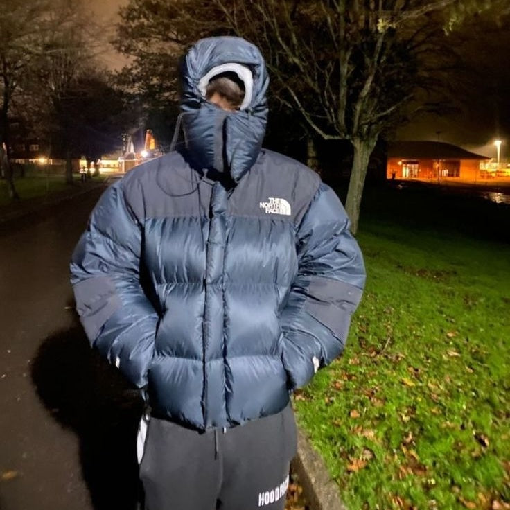 The north face puffer jacket with hood sale