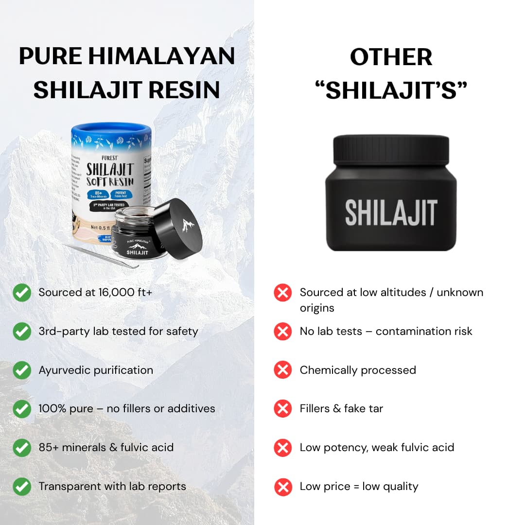 Unlock Peak Energy, Focus & Vitality